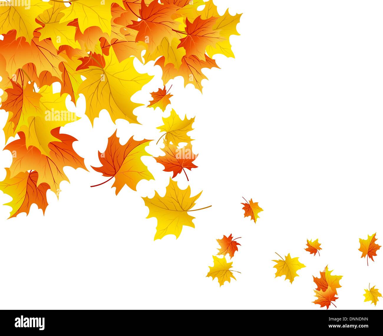 Autumn maples falling leaves background. Vector illustration Stock ...