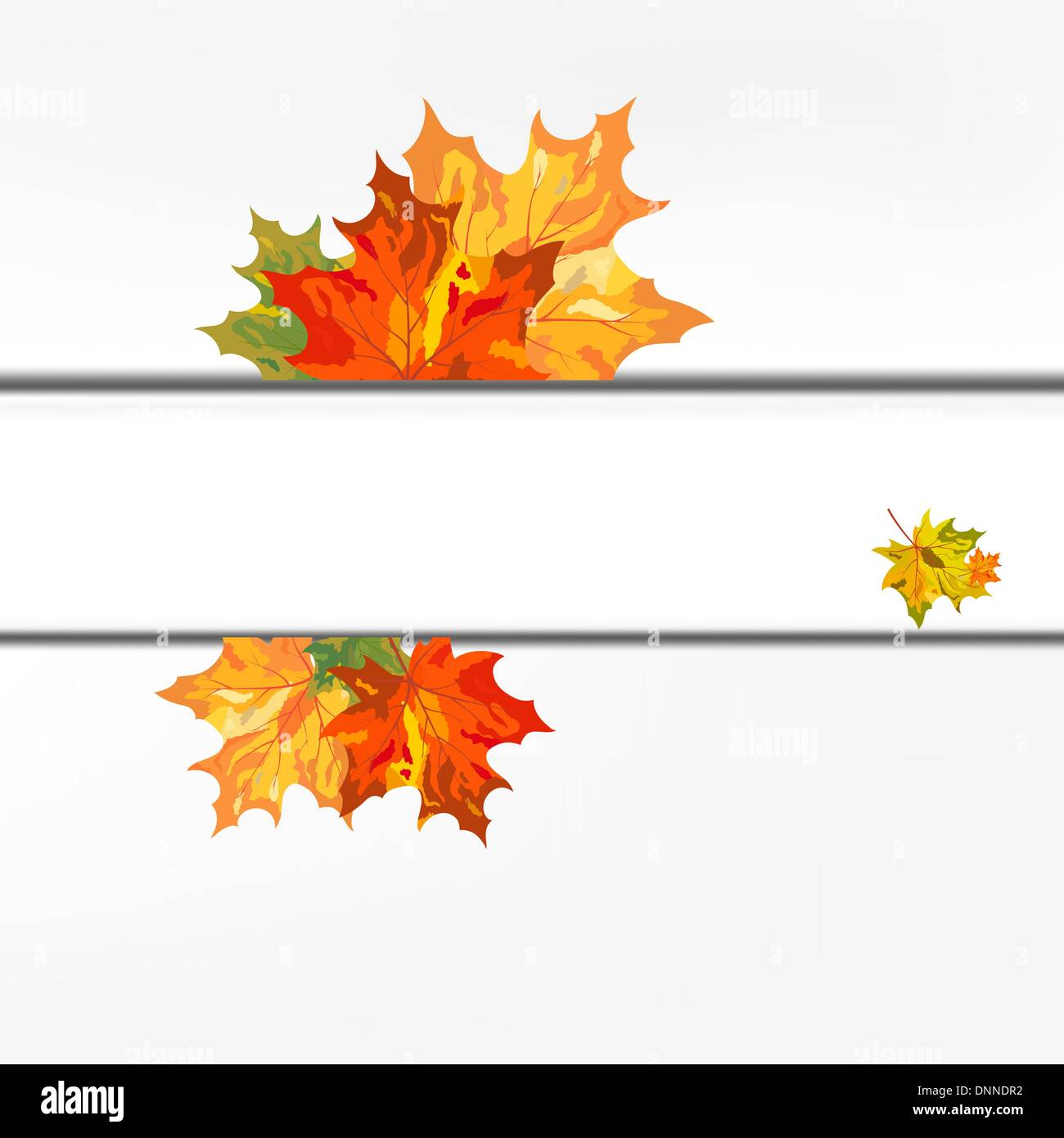 Autumn color maple leaves frame. Vector illustration Stock Vector Image ...