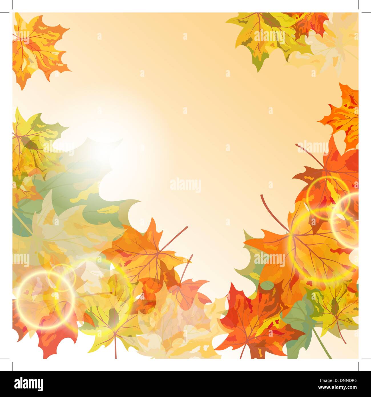 Autumn maple leaves background. Vector illustration with transparency ...