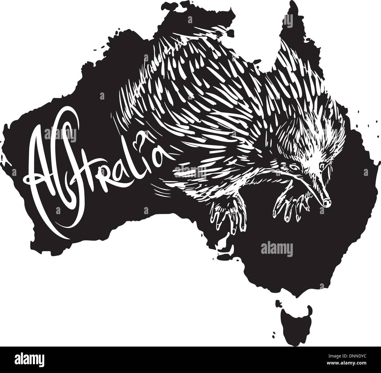 Echidna on map of Australia. Black and white vector illustration Stock ...