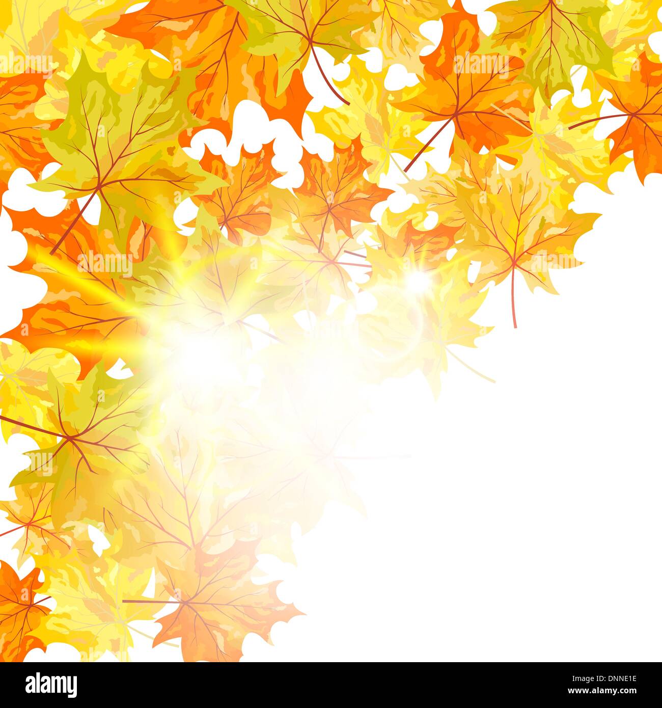 Autumn maple leaves background. Vector illustration with transparency ...