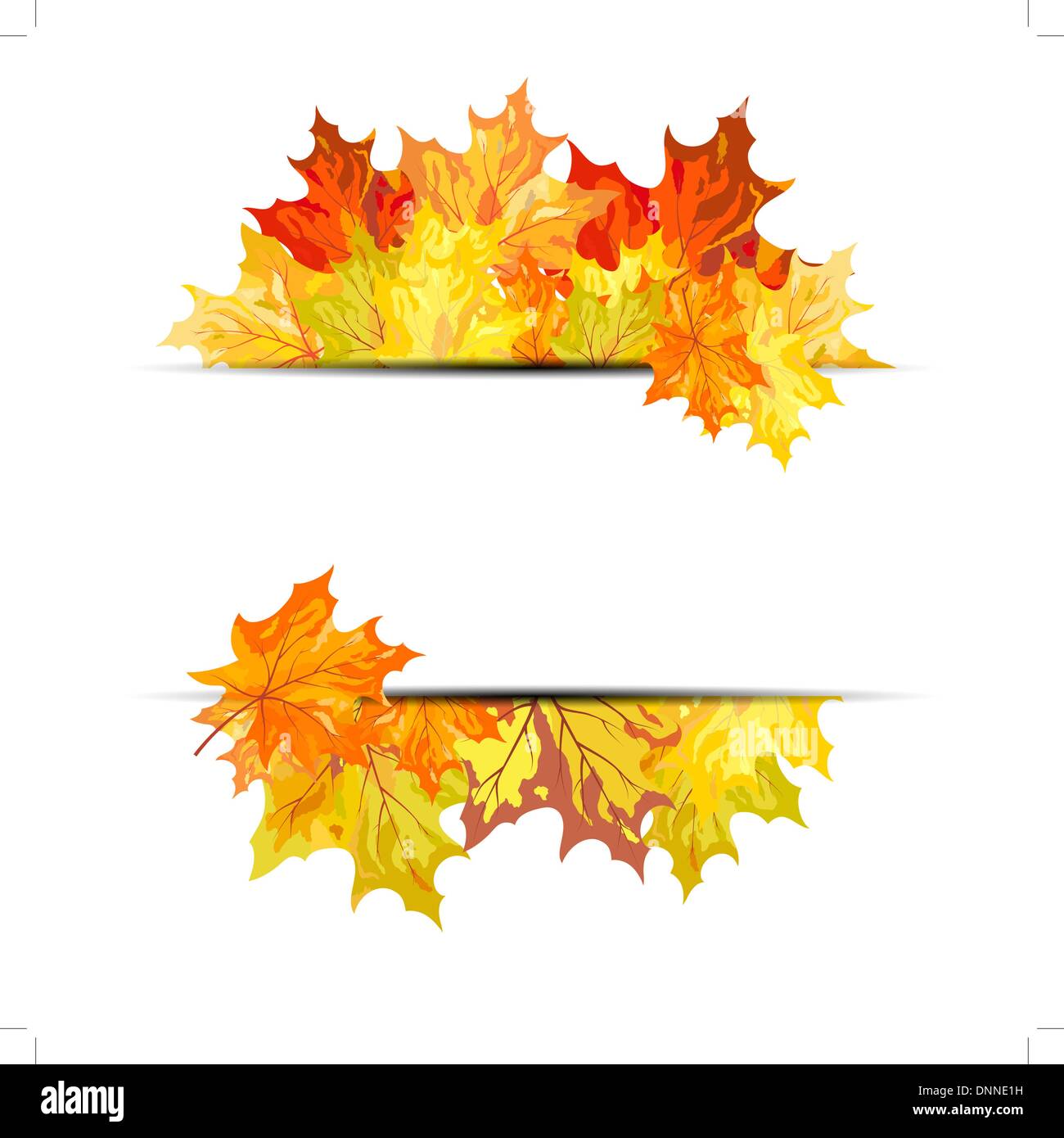 Autumn maple leaves background. Vector illustration with transparency ...