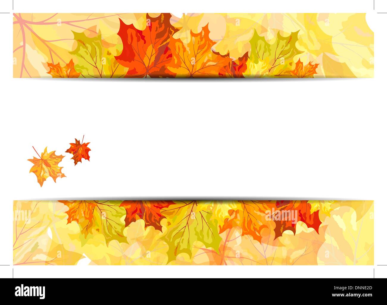 Autumn maple leaves background. Vector illustration with transparency ...