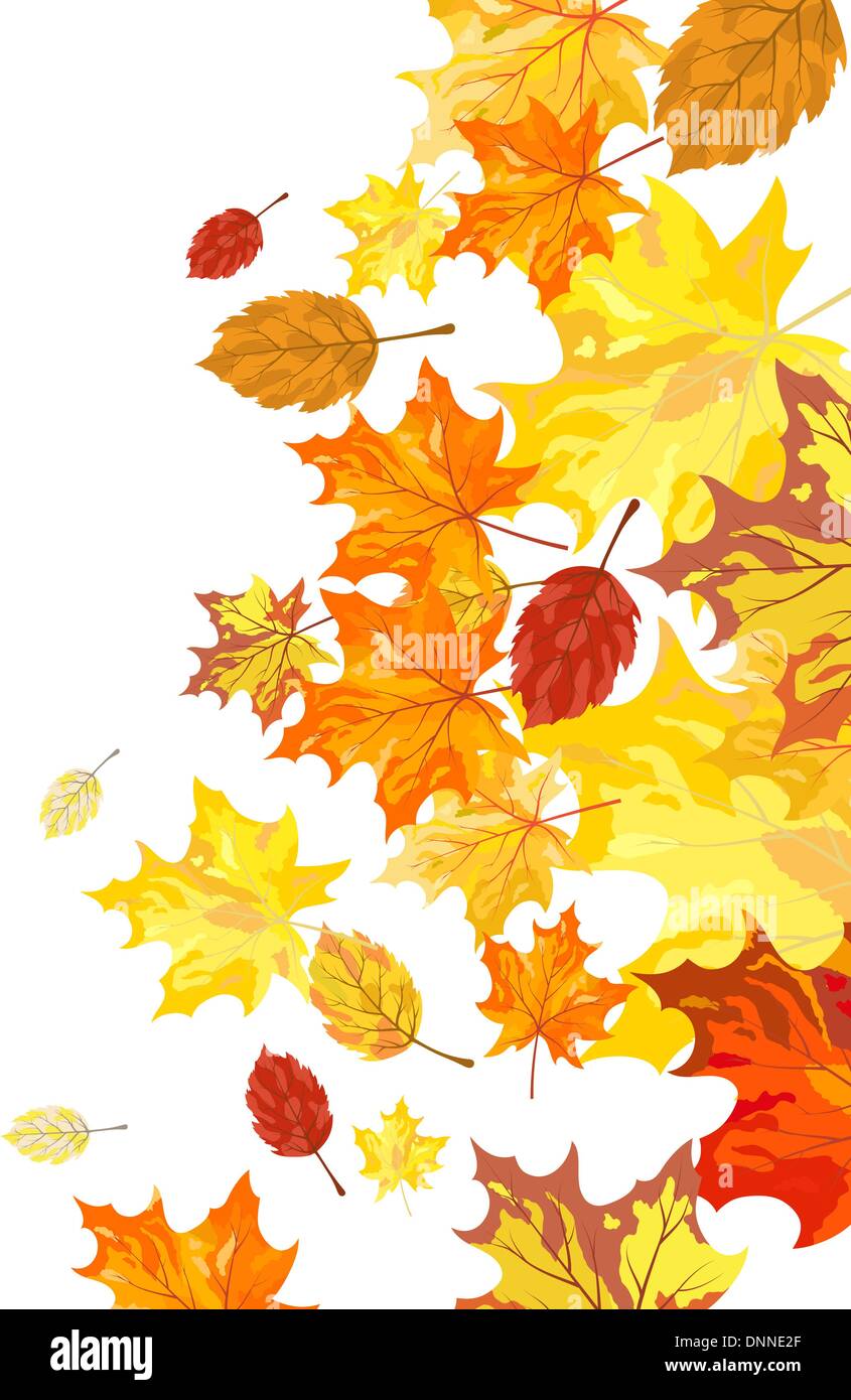 Autumn maple leaves background. Vector illustration Stock Vector Image ...