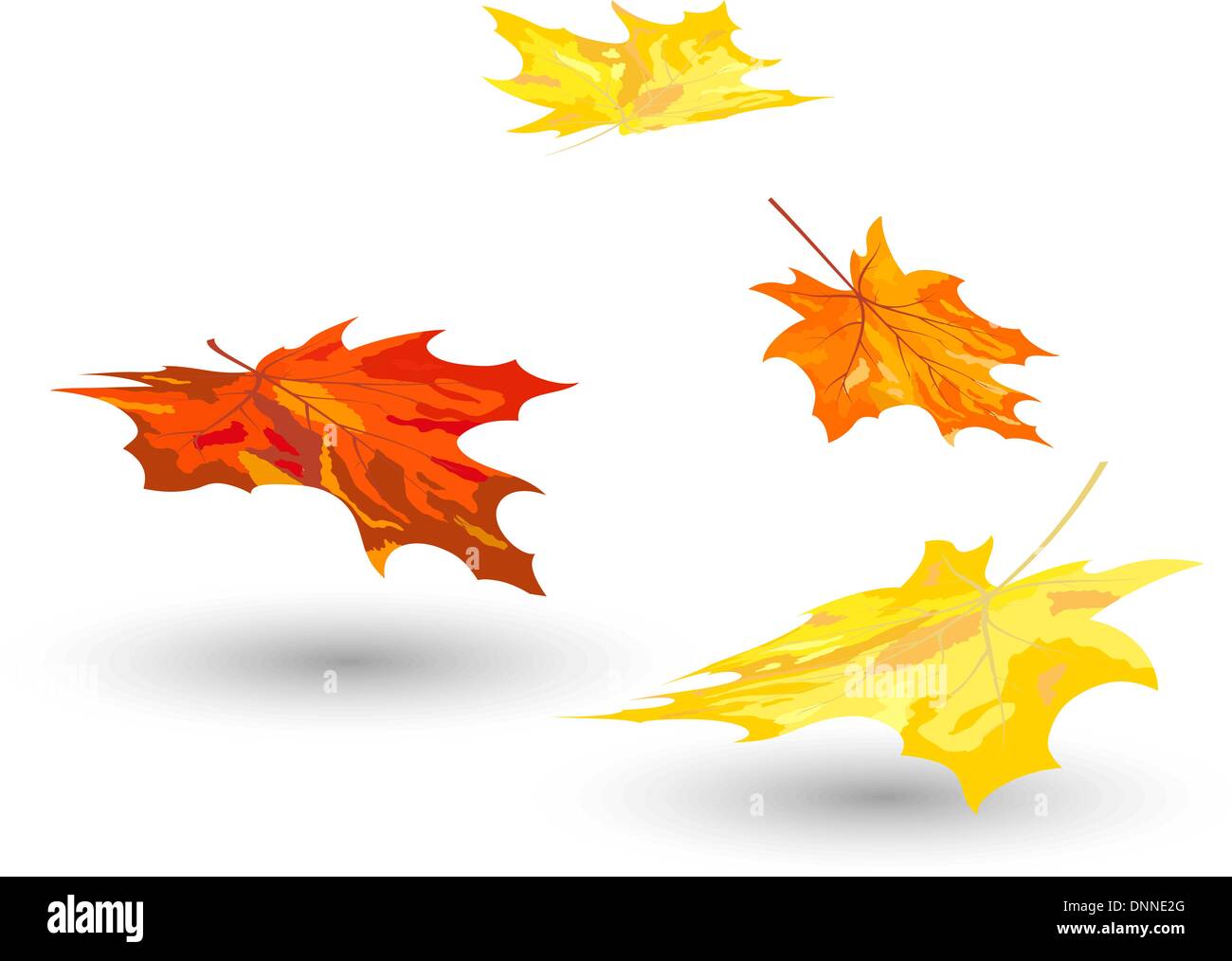 Autumn maple leaves background. Vector illustration Stock Vector Image ...