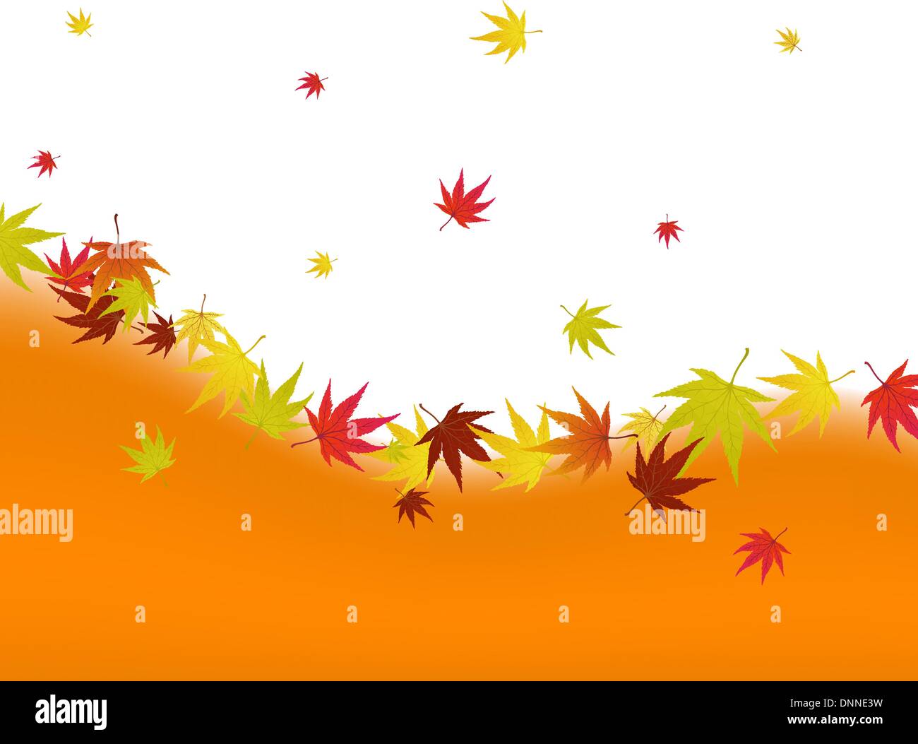 Pattern of autumn maples leaves. Vector illustration Stock Vector Image ...