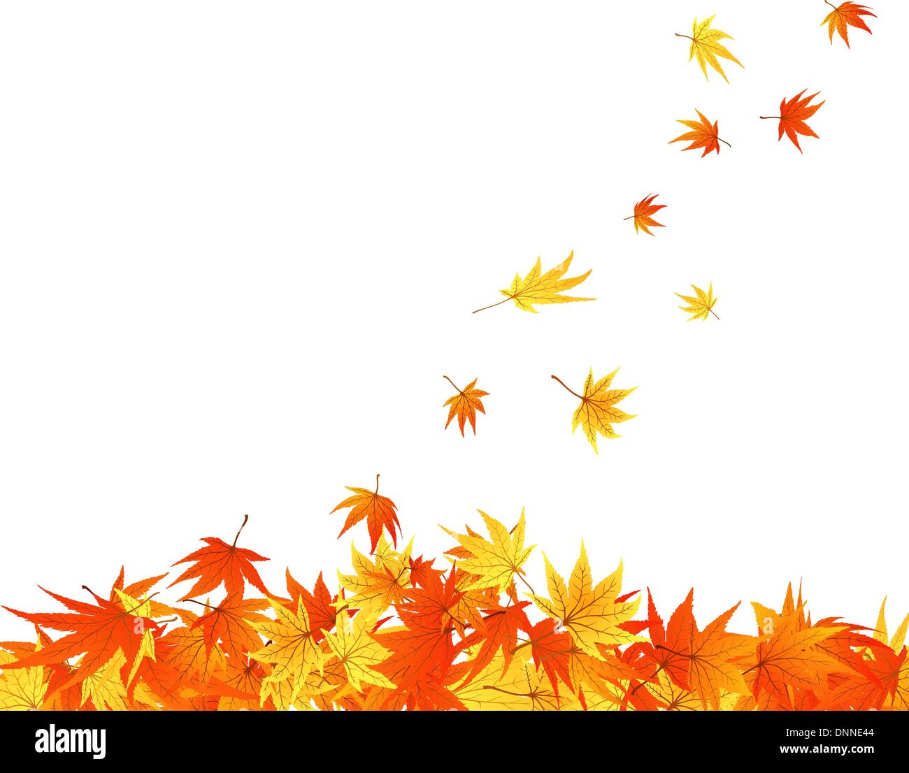 Pattern of autumn maples leaves. Vector illustration Stock Vector Image ...