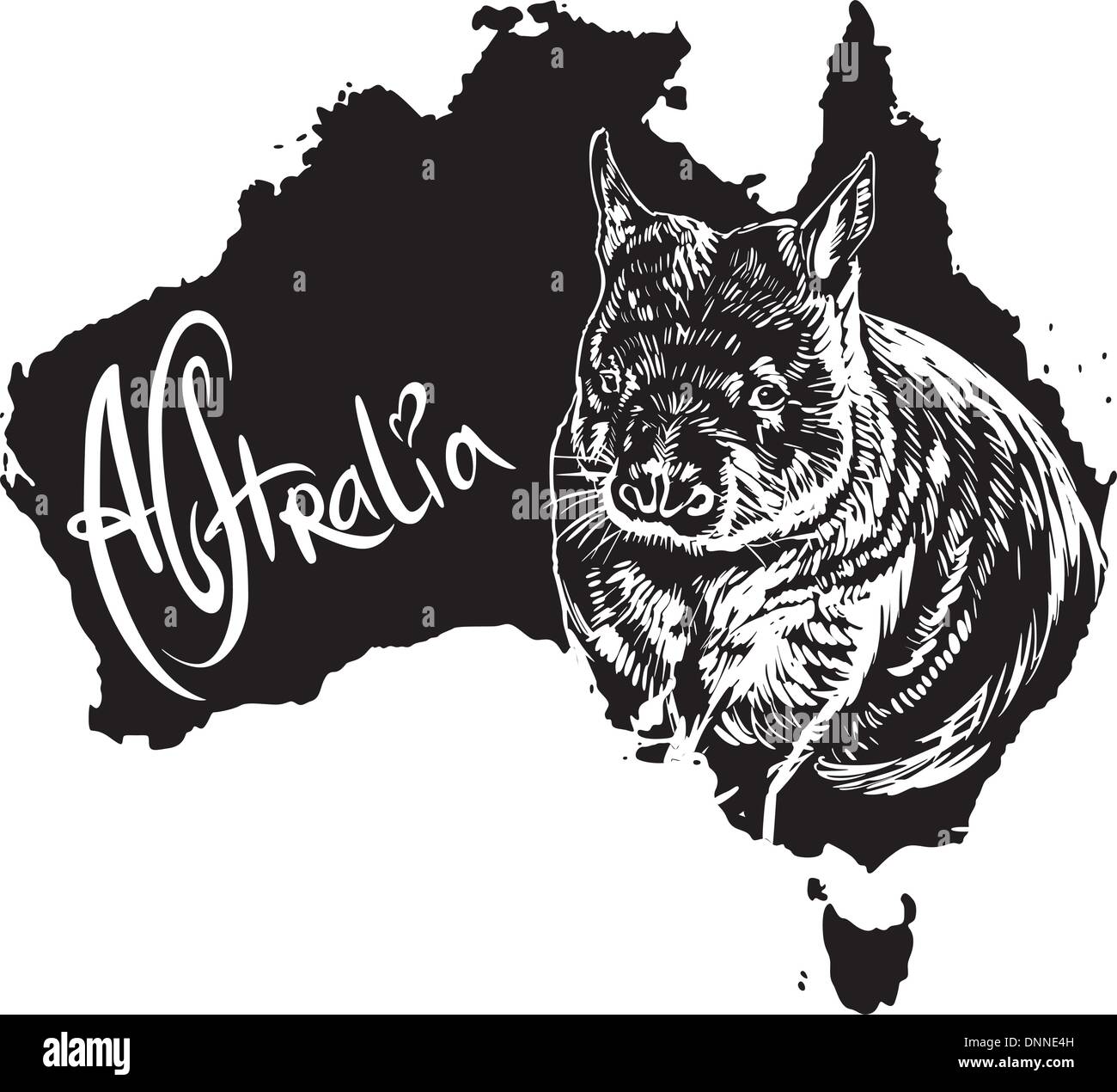 Wombat on map of Australia. Black and white vector illustration Stock ...