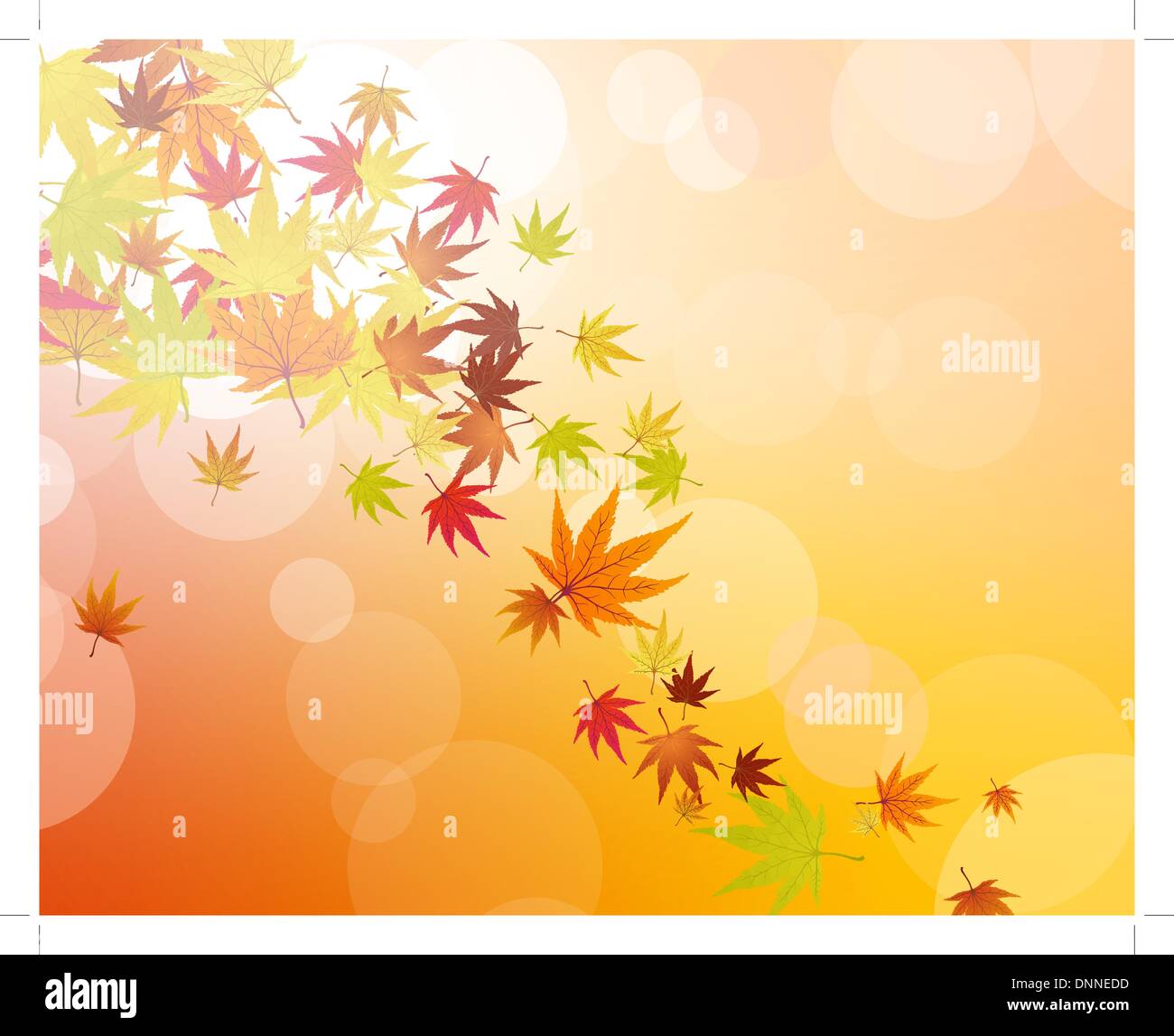 Pattern of autumn maples leaves. Vector illustration Stock Vector Image ...