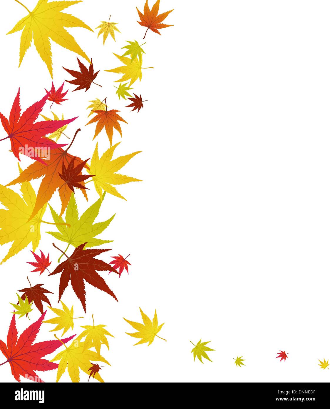 Pattern of autumn maples leaves. Vector illustration Stock Vector Image ...