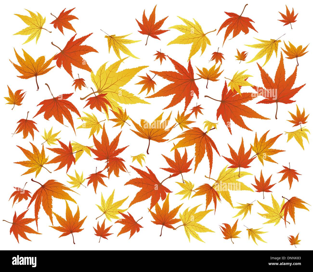 Twisted row of autumn maples leaves. Vector illustration Stock Vector ...