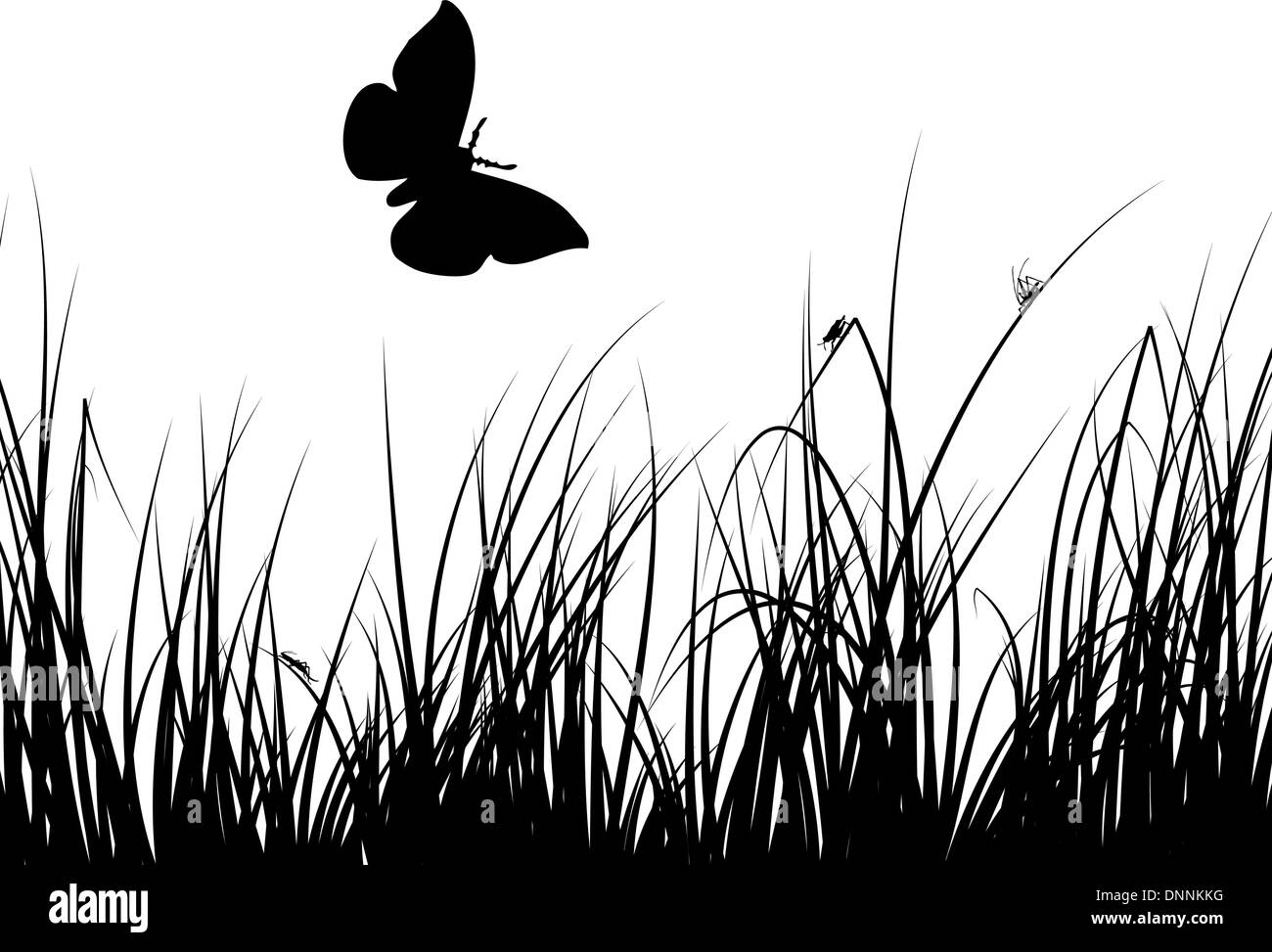 Vector grass silhouettes backgrounds with insects Stock Vector Image ...