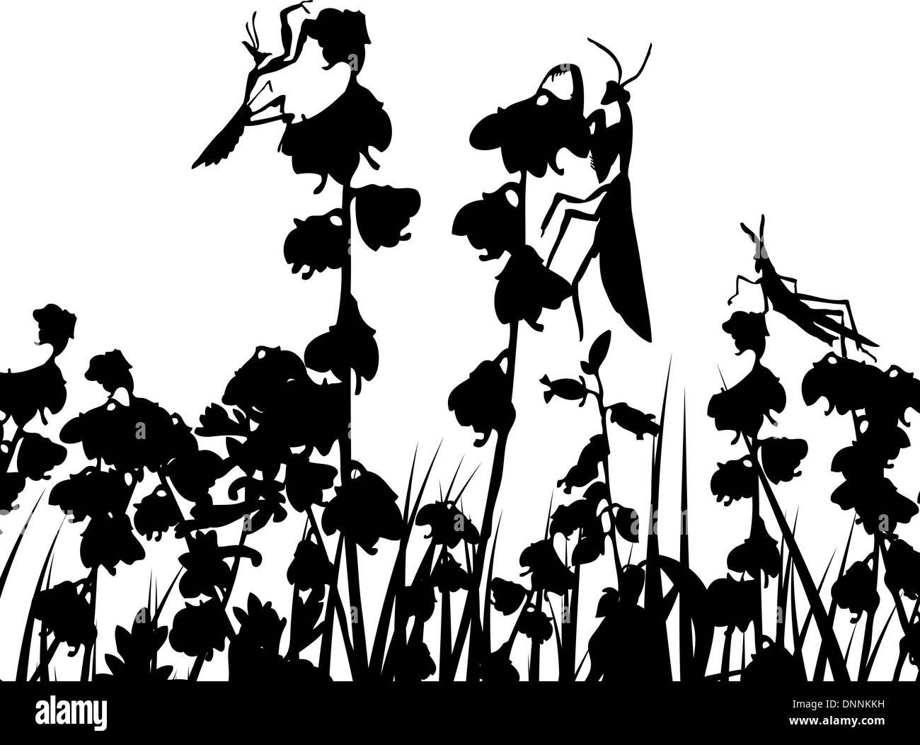 Vector grass silhouettes backgrounds with insects Stock Vector Image ...