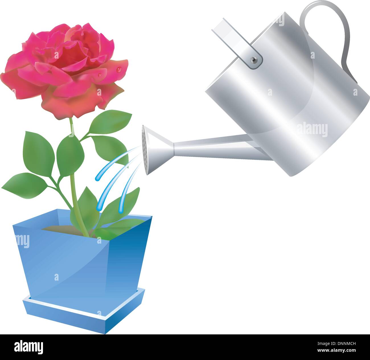 Realistic watering can with rose illustration on white background Stock