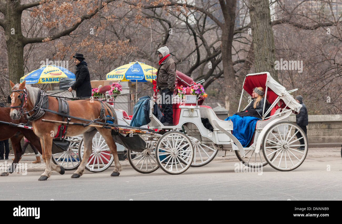 New york city central park hansom cab in hi-res stock photography and ...