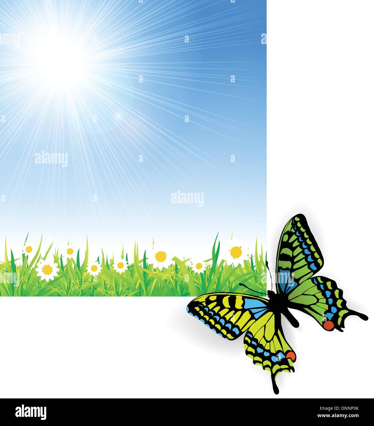 Illustration of green grass with a butterfly on a background of sky and ...