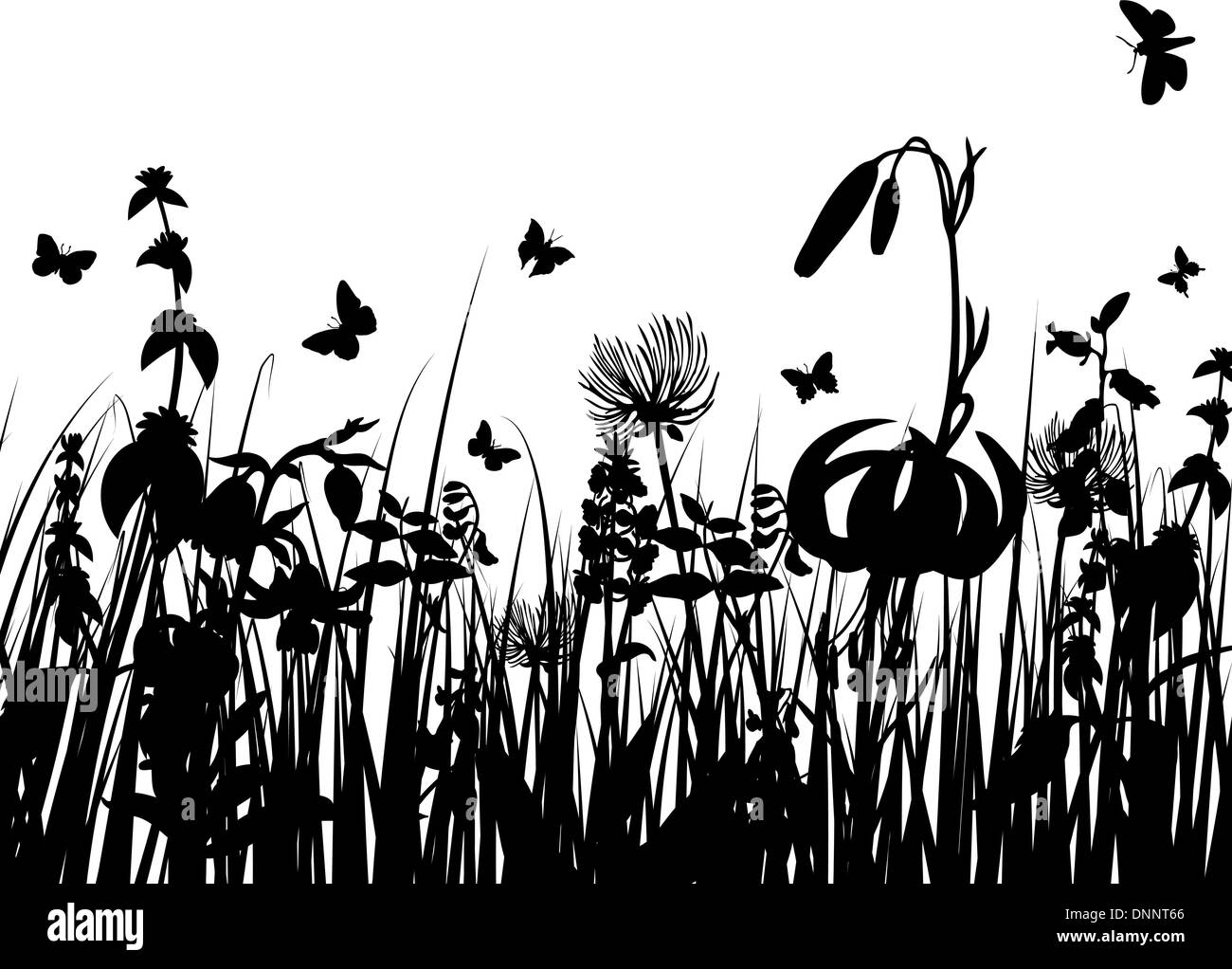 Vector grass silhouettes background for design use Stock Vector Image