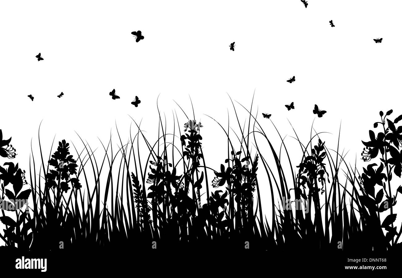 Vector grass silhouettes background for design use Stock Vector Image