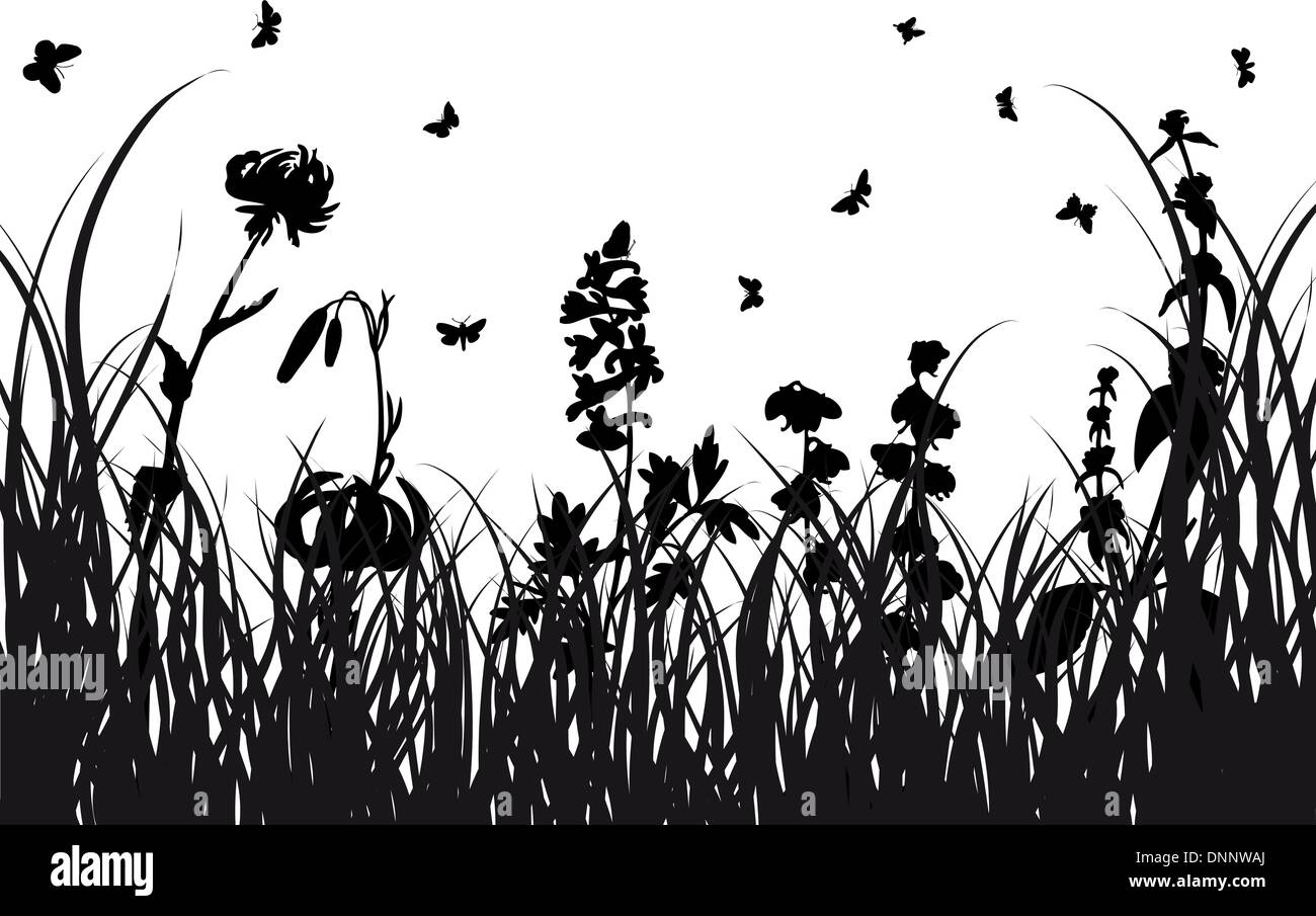Vector grass silhouettes background for design use Stock Vector Image