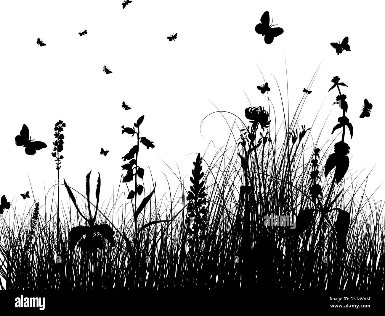 Vector grass silhouettes background for design use Stock Vector Image