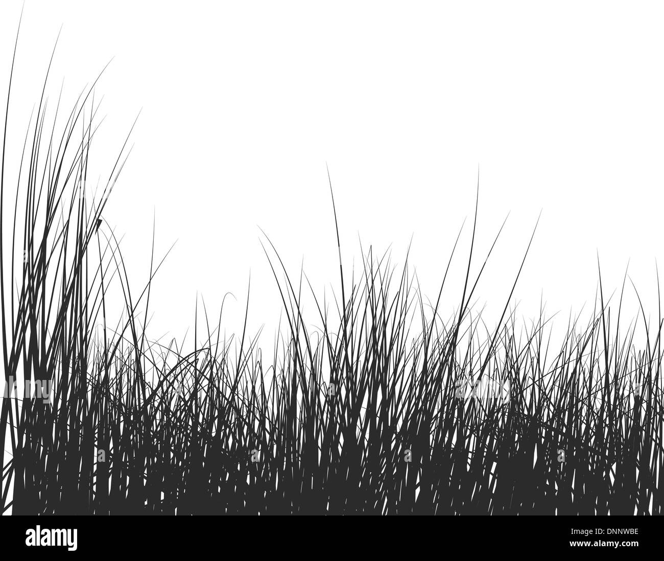 Vector grass silhouettes background for design use Stock Vector Image ...