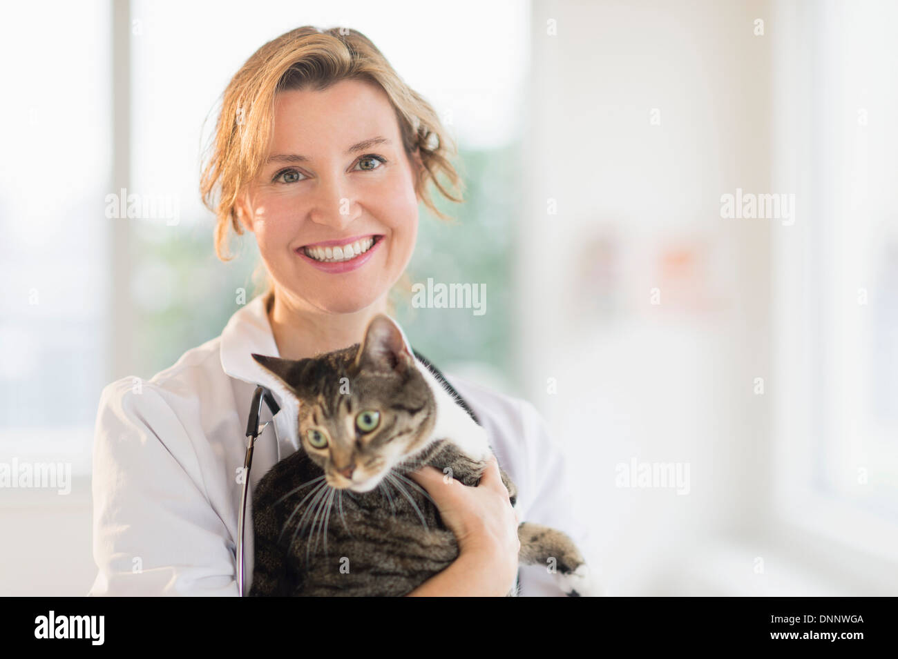 Portrait of female vet with cat Stock Photo - Alamy