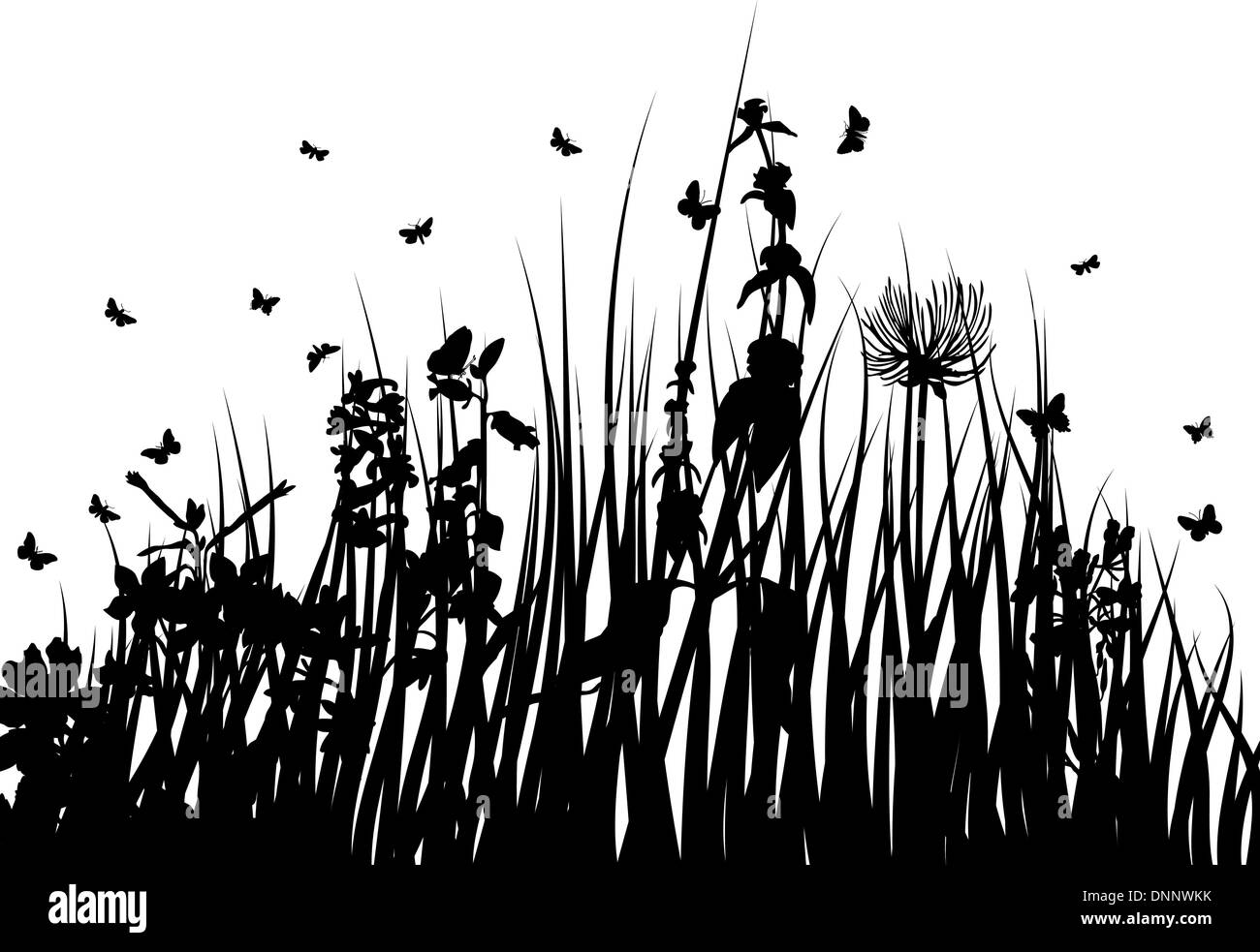 Vector grass silhouettes backgrounds with insects Stock Vector Image ...
