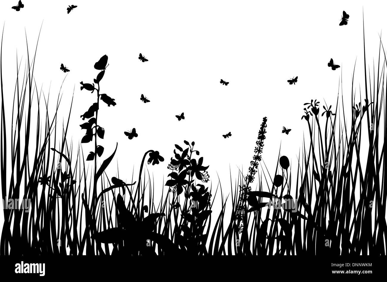Vector grass silhouettes backgrounds with insects Stock Vector Image ...