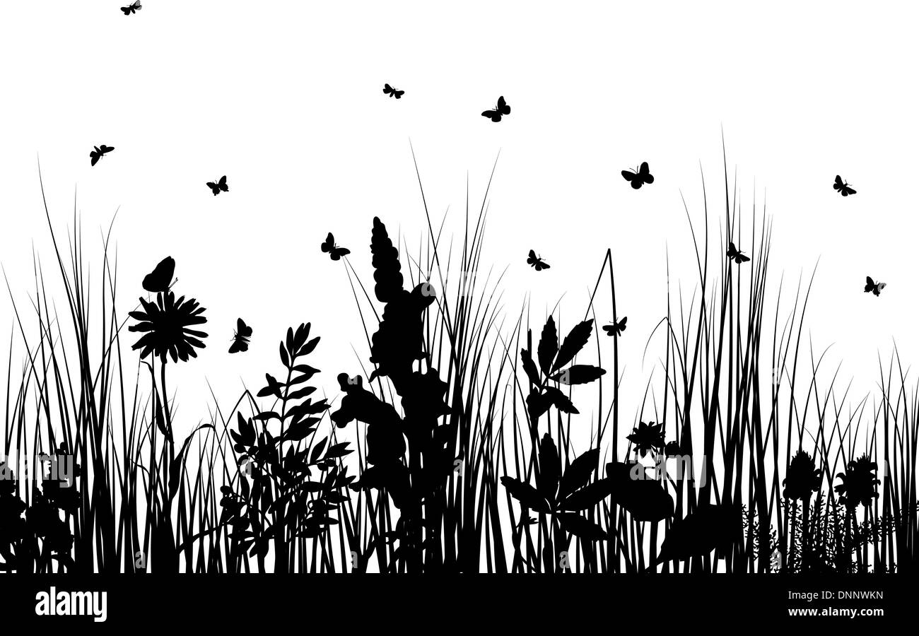 Vector grass silhouettes backgrounds with insects Stock Vector Image ...