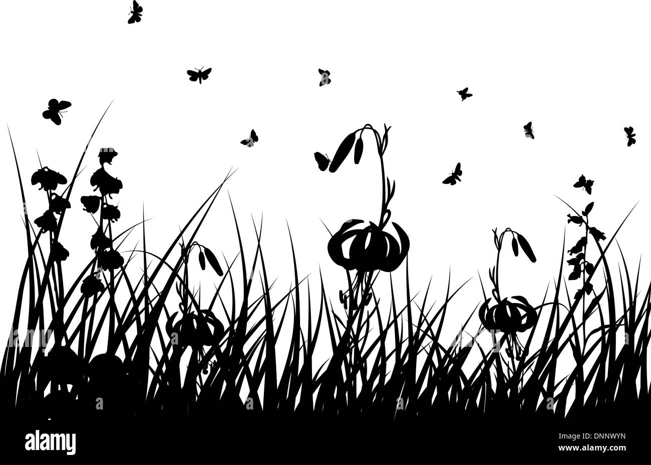 Vector grass silhouettes backgrounds with insects Stock Vector Image ...