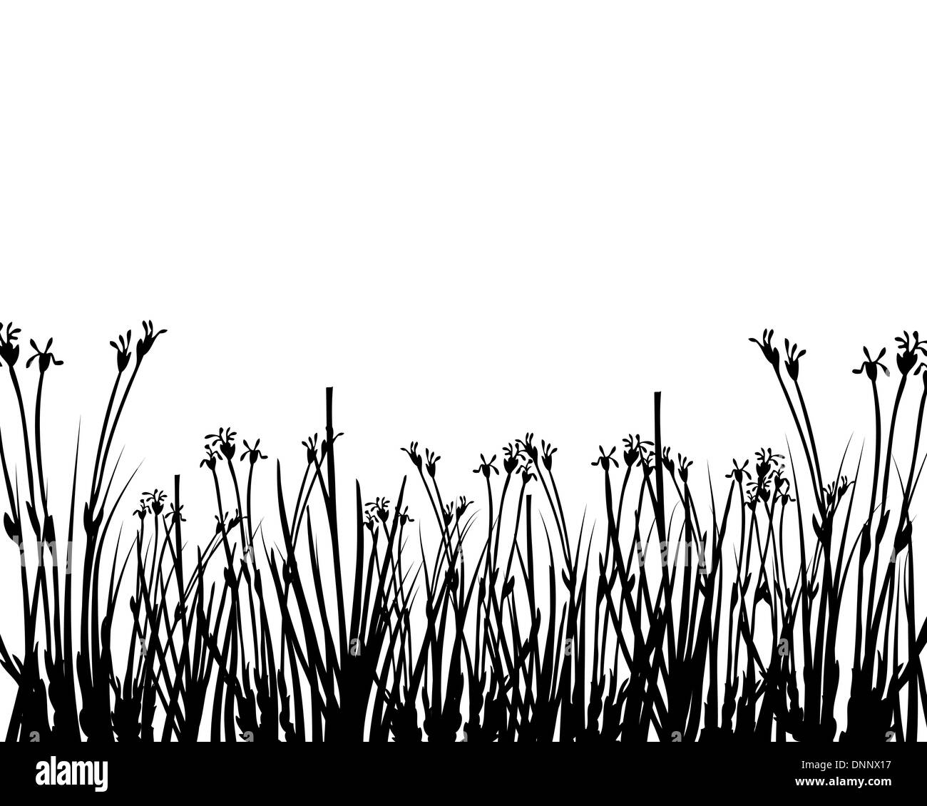 Grass silhouettes ornate on the white background Stock Vector Image