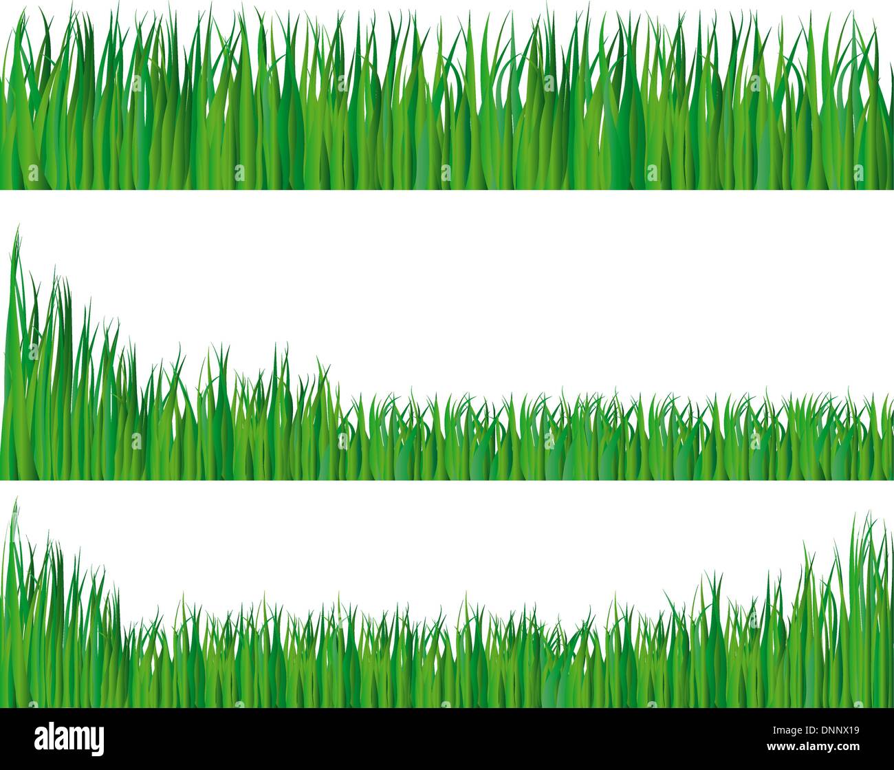 Set of grass silhouettes ornate on the white background Stock Vector ...