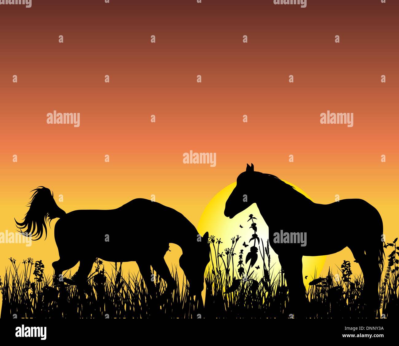 Horse silhouette on sunset background. Vector illustration Stock Vector ...