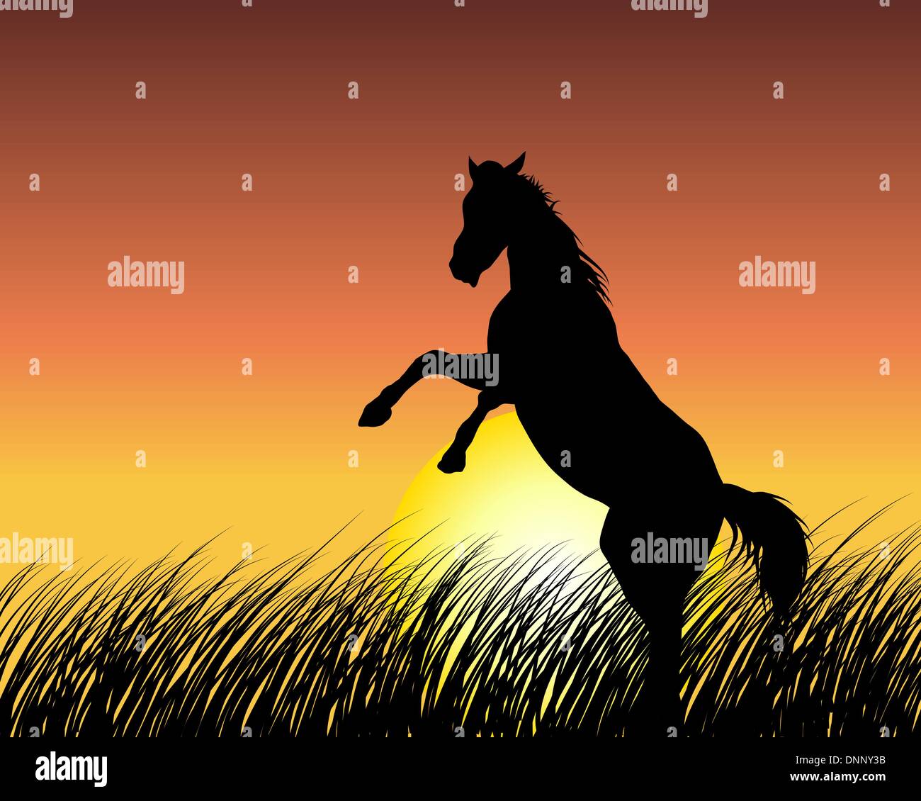 Horse silhouette on sunset background. Vector illustration Stock Vector  Image \u0026 Art - Alamy, image size:1300x1130