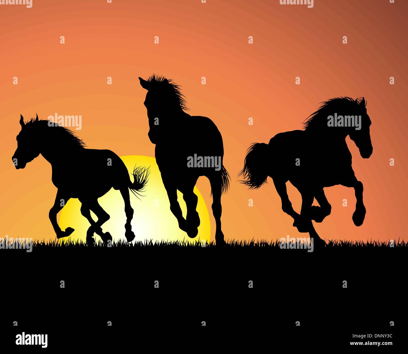 Horse silhouette on sunset background. Vector illustration. Stock Vector