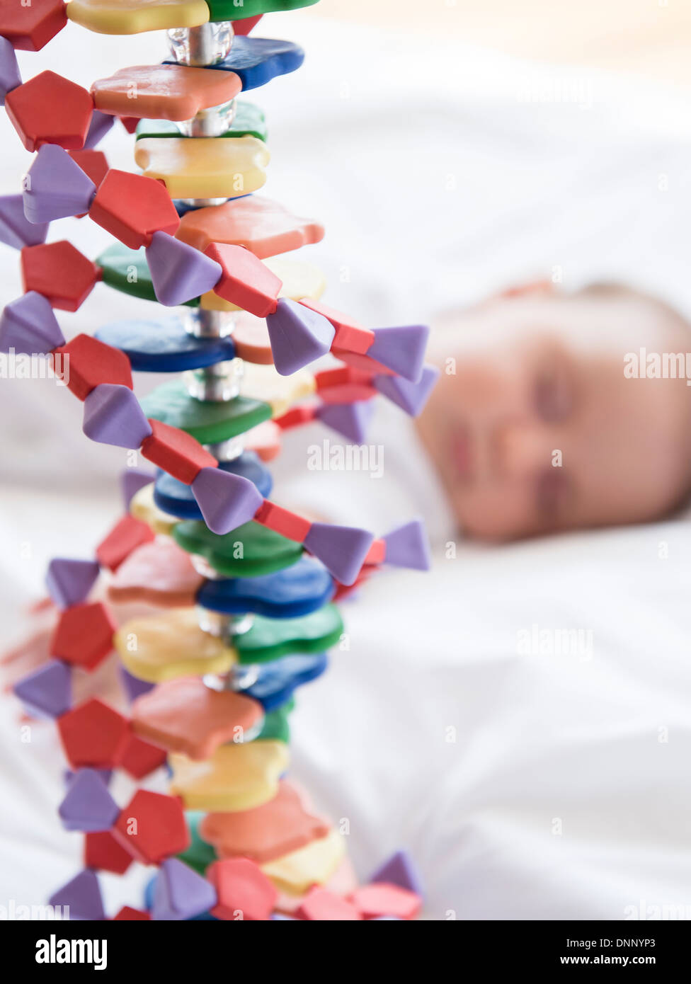 Baby girl (2-5 months) sleeping in bed behind DNA model Stock Photo