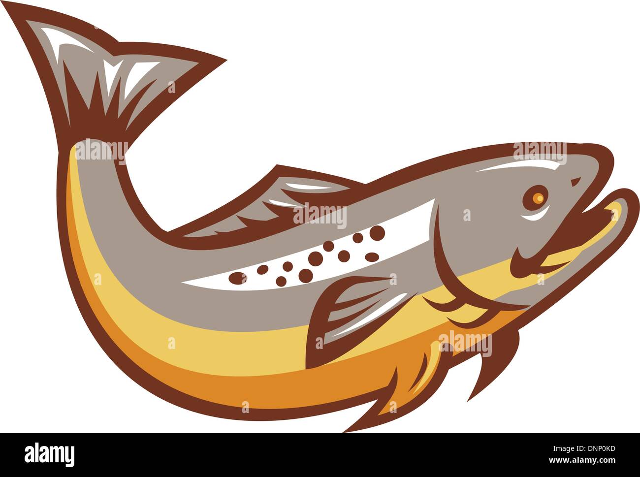 Illustration of a trout fish jumping on isolated white background done in retro style. Stock Vector