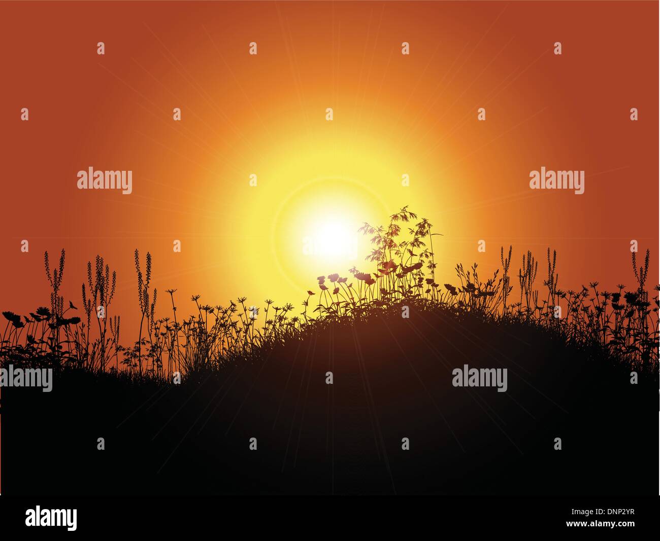 Sunset background with grass and flowers in silhouette Stock Vector ...