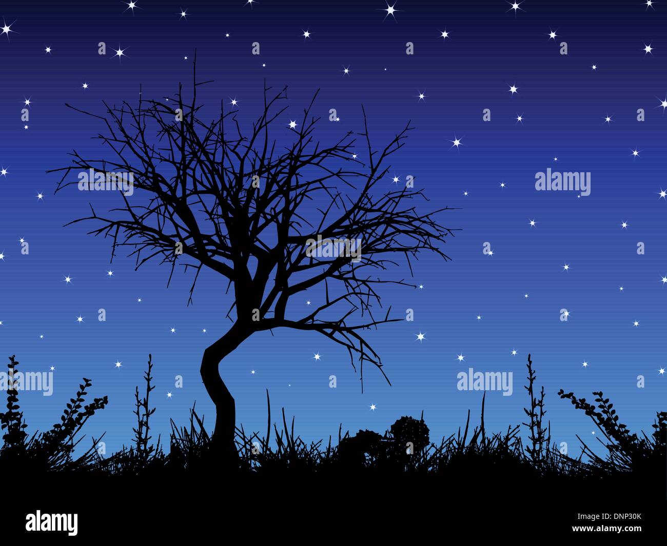Silhouette of a tree against a starry sky Stock Vector Image & Art - Alamy