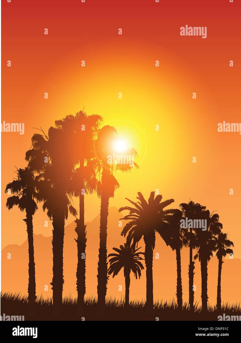 Tropical landscape with silhouettes of palm trees against a sunset sky ...