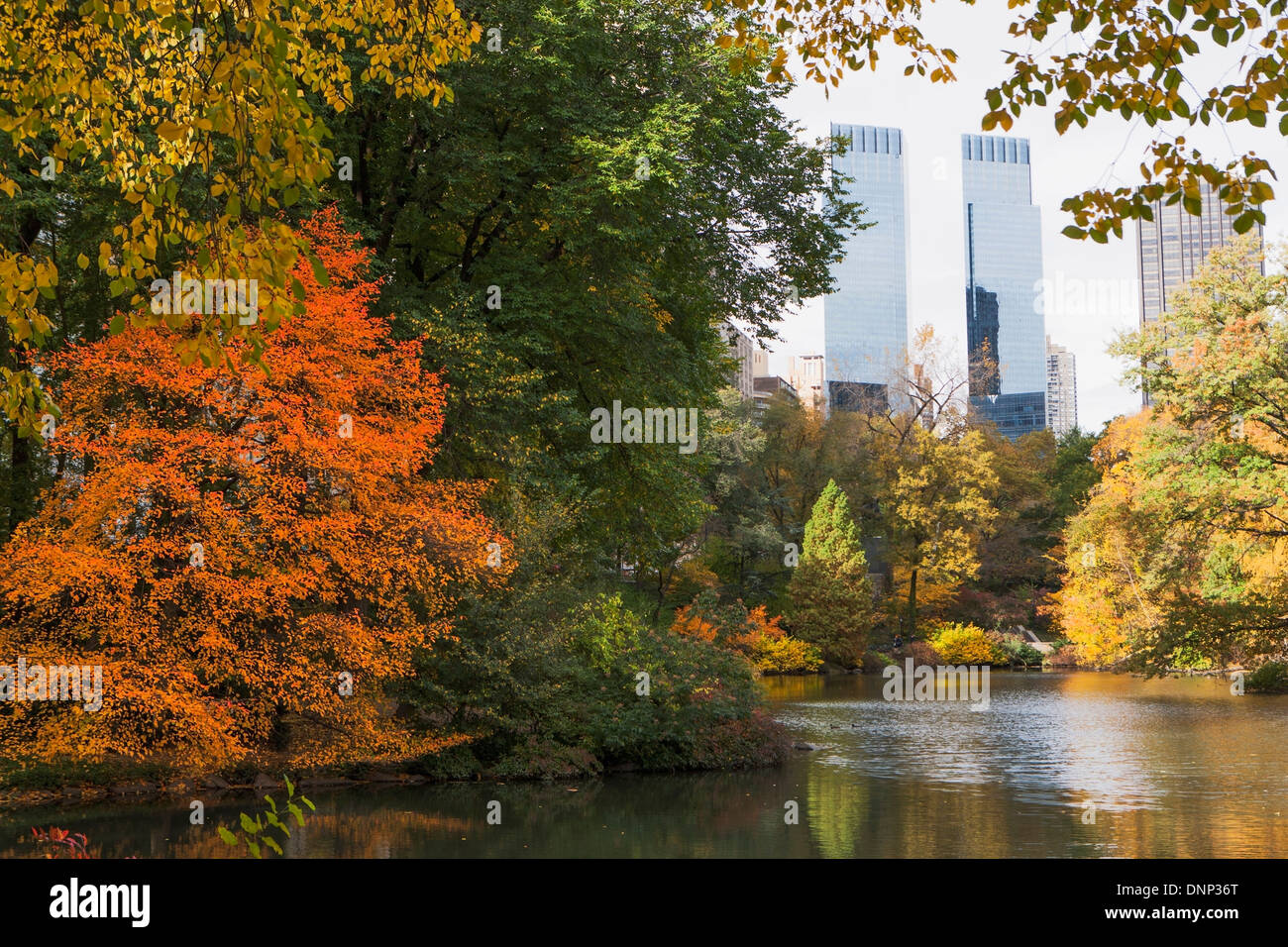 USA, New York State, New York City, View of Central Park in autumn ...