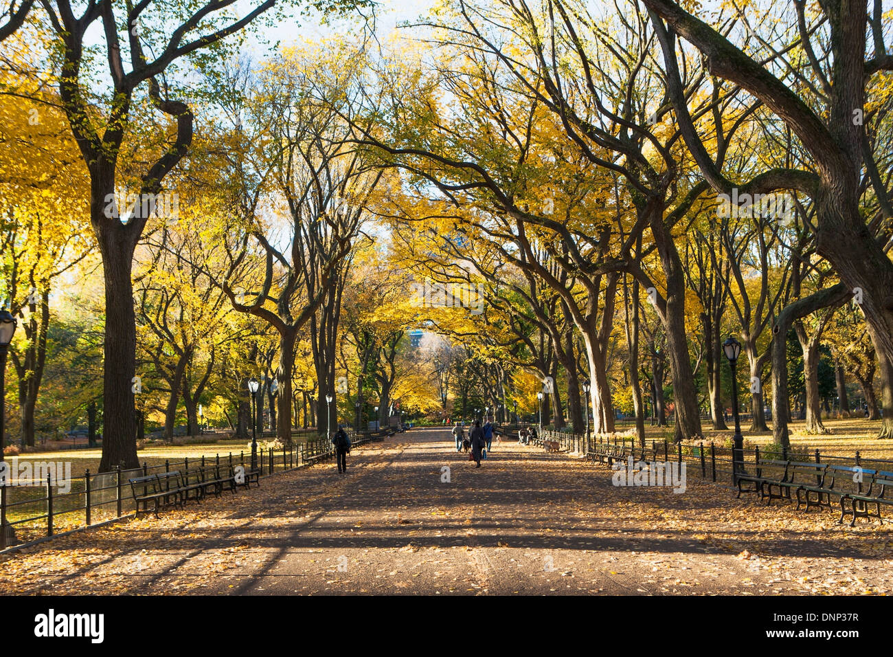 USA, New York State, New York City, Alley in Central Park in autumn Stock Photo