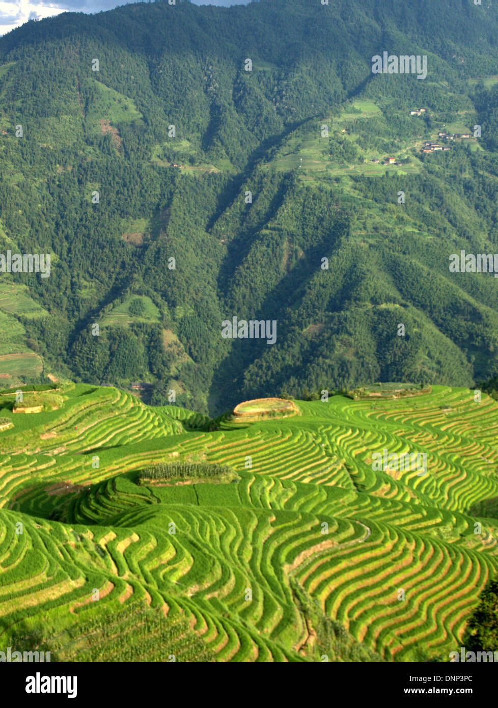 Dragon backbone rice terraces hi-res stock photography and images - Alamy
