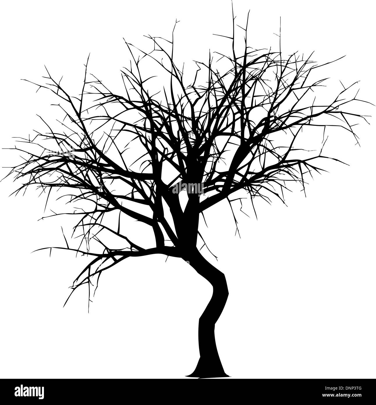 Silhouette of a winter tree Stock Vector