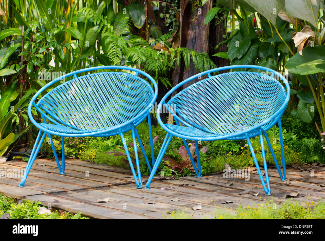 Blue garden metal chairs. Stock Photo