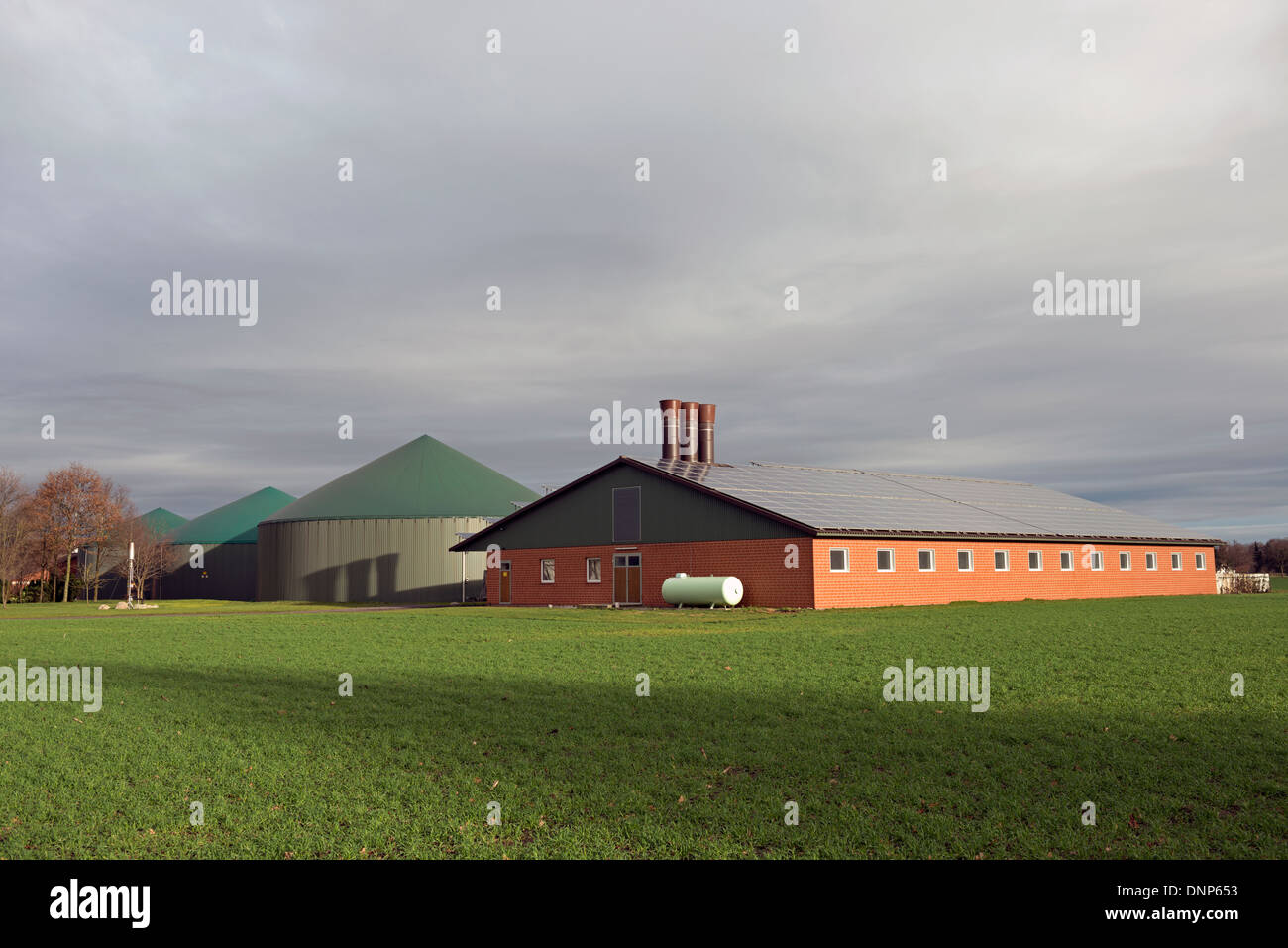 Biogas and solar energy produced on a livestock farm Stock Photo Alamy