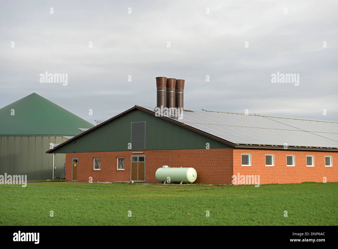 Biogas and solar energy produced on a livestock farm Stock Photo Alamy