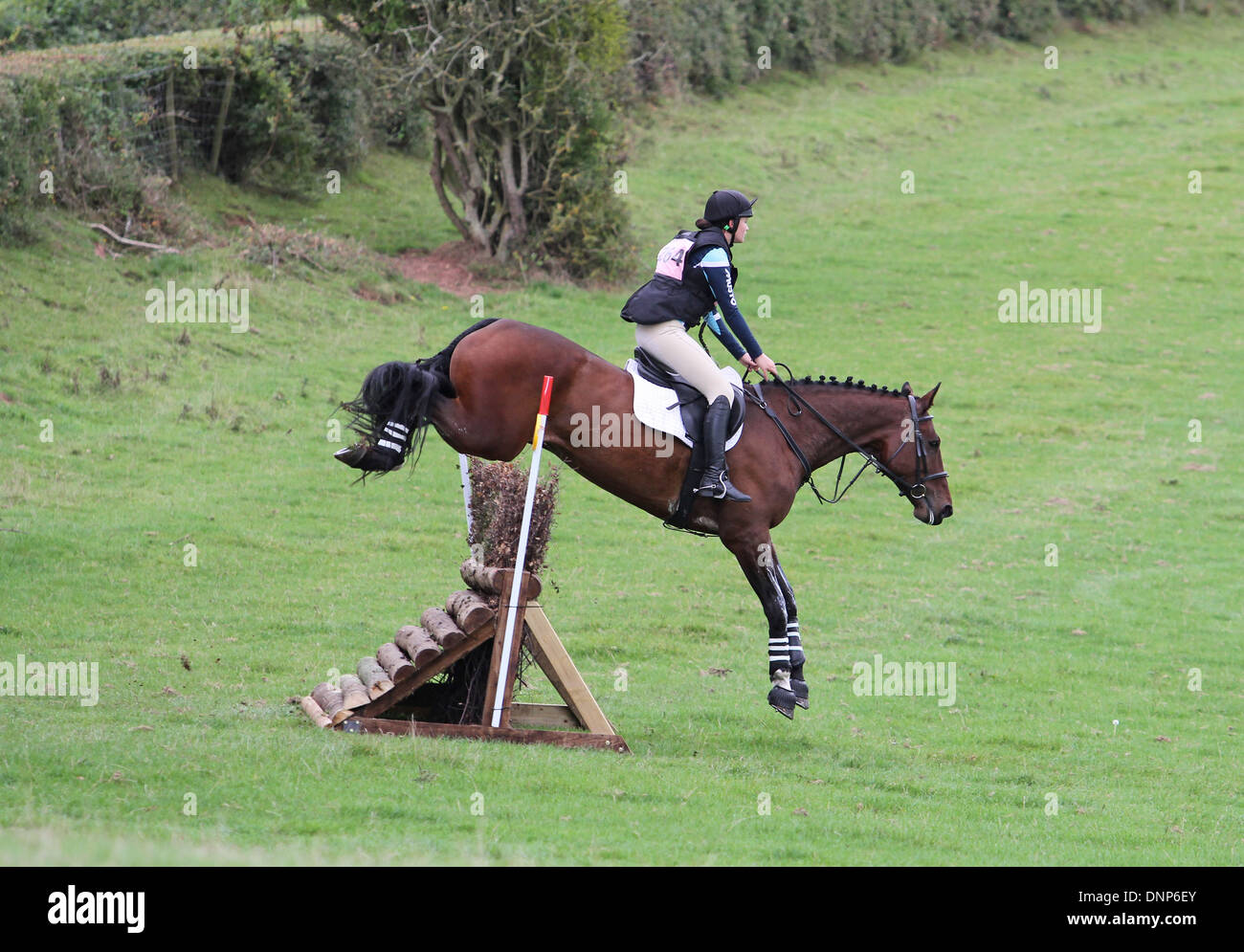 Horse Jump Fence Stock Photos & Horse Jump Fence Stock Images Alamy