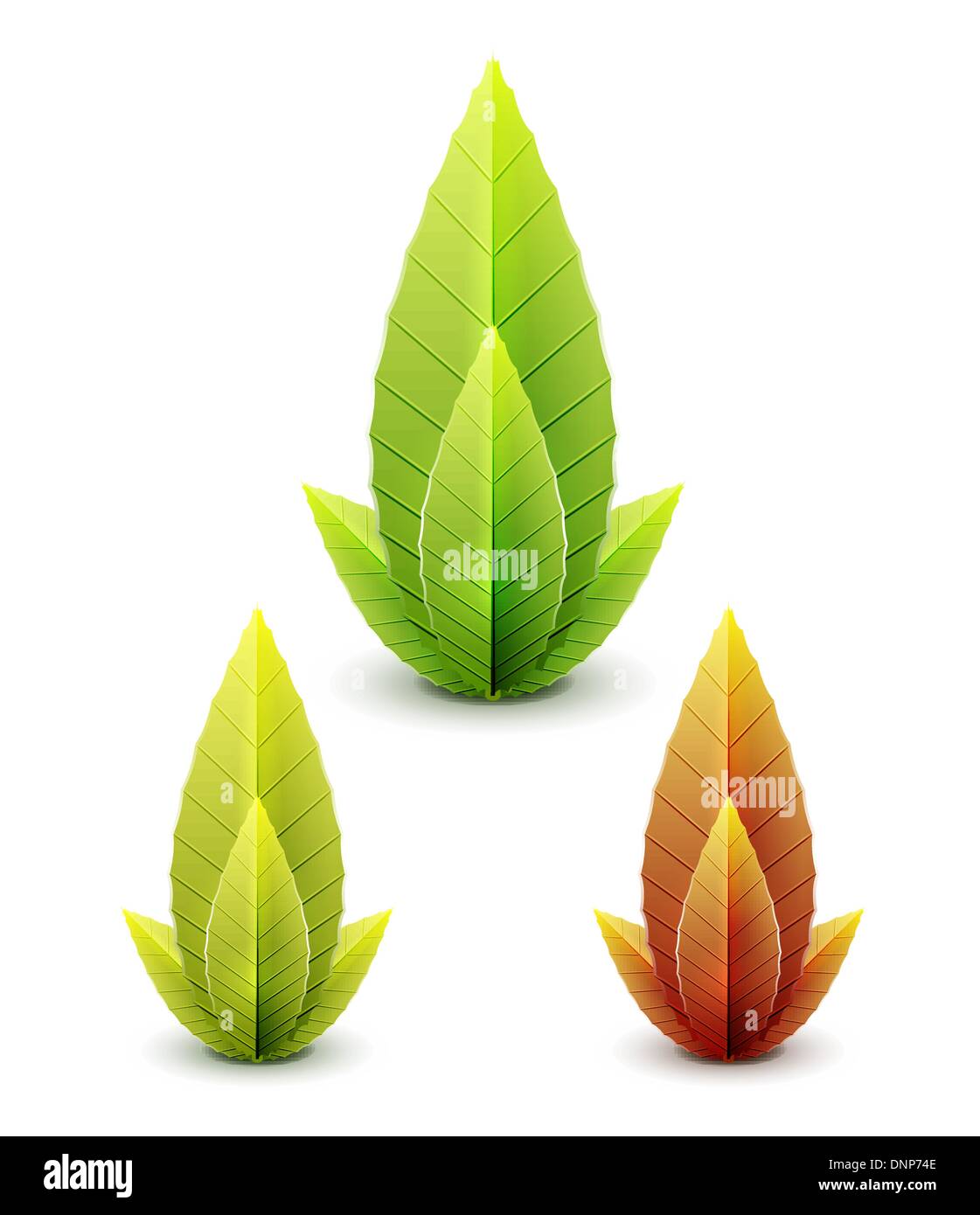 Set of glossy vector leaves Stock Vector