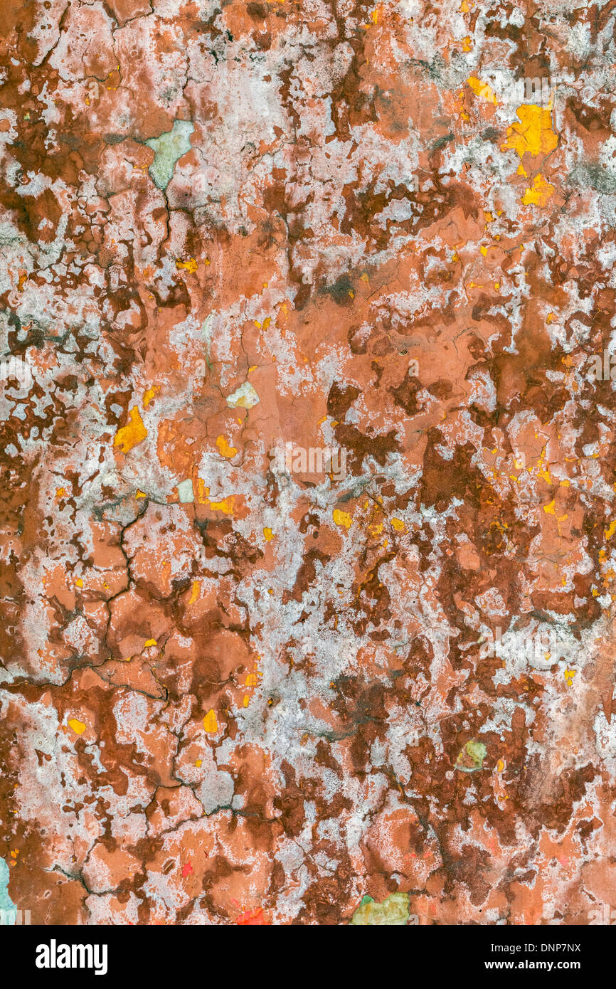 India, Rajasthan, Jaipur, paint, plaster wall Stock Photo Alamy